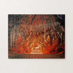 Puzzle Lumière solaire de la forêt d'automne paysage imag