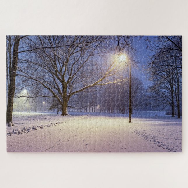 Puzzle Lumières de rue et couvert de neige jigsaw puz (Horizontal)