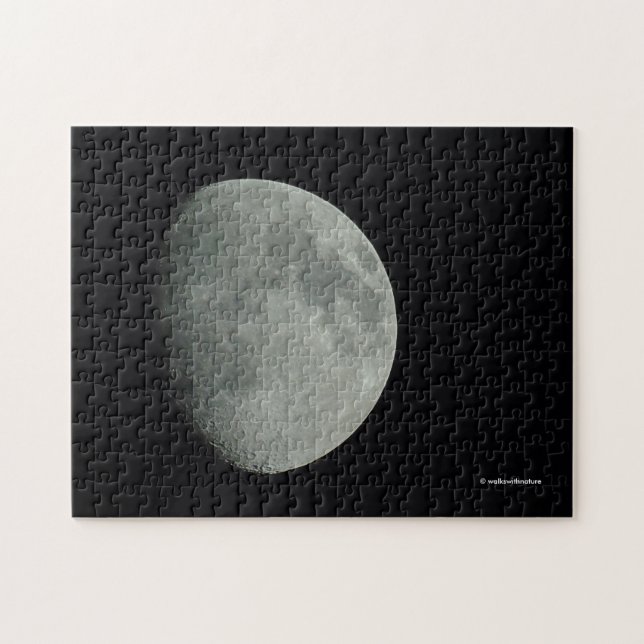 Puzzle Lune de mi-été éveillée à la nuit (Horizontal)