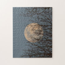 Lune se lève au-dessus des arbres