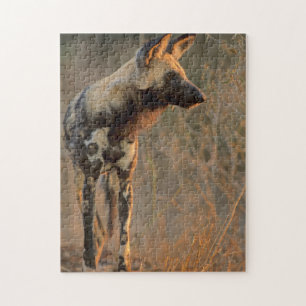 Puzzle Lycaon Pictus (Lycaon Pictus), Kruger