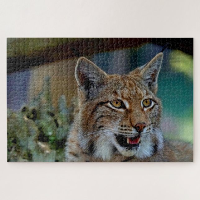 puzzle lynx (Horizontal)