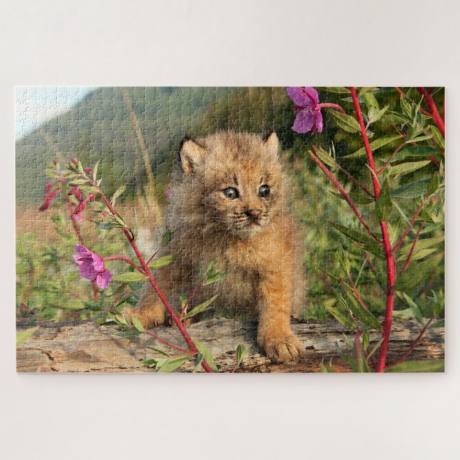 Puzzle Lynx Kitten, Canada, Alaska (Horizontal)