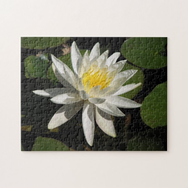 Puzzle Lys blancs (Horizontal)