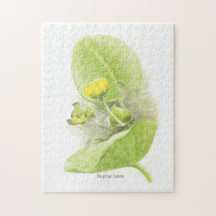 Puzzle Lys de fleurs