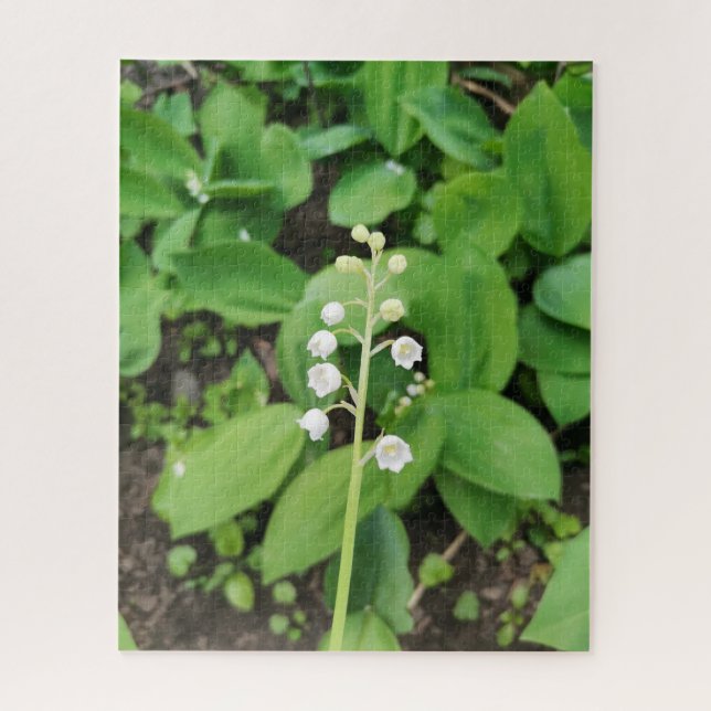Puzzle Lys de la Vallée Fleur (Vertical)