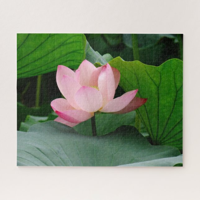 Puzzle Lys d'eau (Horizontal)