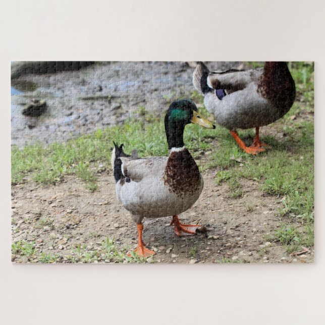 Puzzle M. Duck (Horizontal)