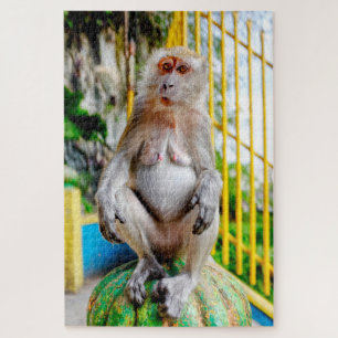 Puzzle Macaque crabier