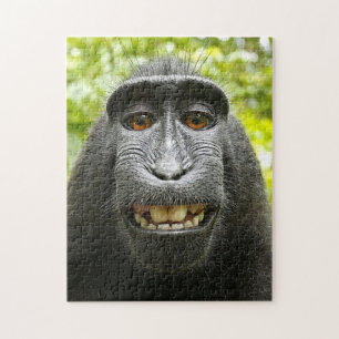 Puzzle Macaque de sourire de Celebes