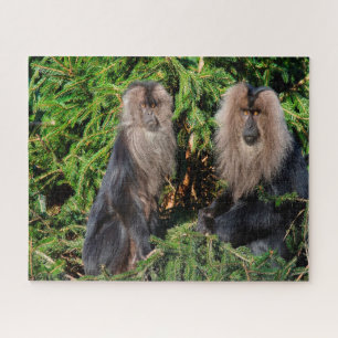 Puzzle Macaques à long queue balinaise.