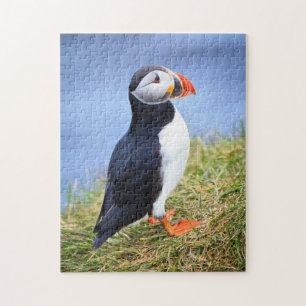 Puzzle Macareux atlantique