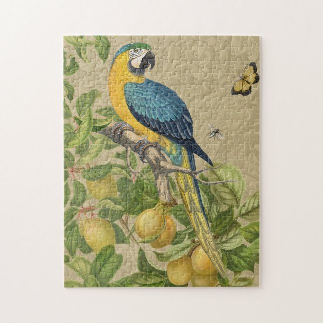 Puzzle Macaw Blue Jaune Tropical Jungle Antique (Vertical)