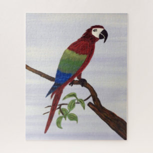 Puzzle Macaw Parrot