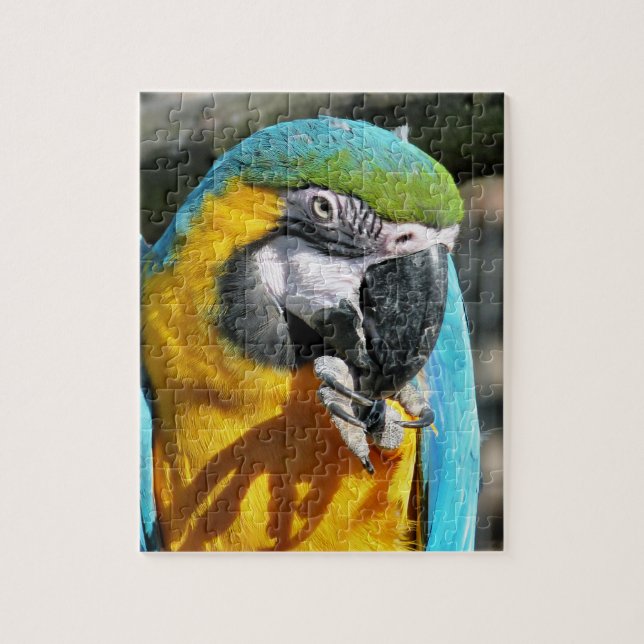 PUZZLE MACAWS (Vertical)