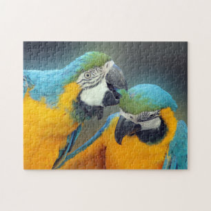 Puzzle Macaws in love