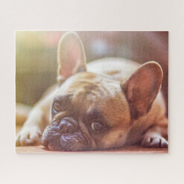 Puzzle Magnifique bulldog français allongé (Horizontal)