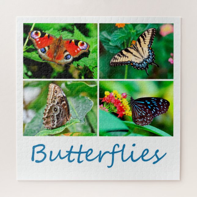 Puzzle Magnifique Collage de papillons, 4 photos, 10 ans (Horizontal)