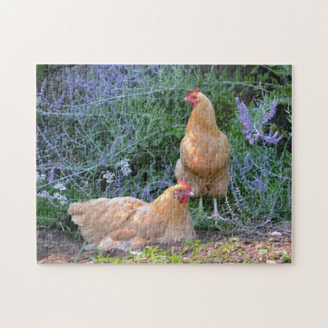 Puzzle magnifique de poulet (Horizontal)