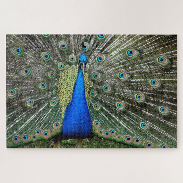 Puzzle Magnifique profil de paon (Horizontal)
