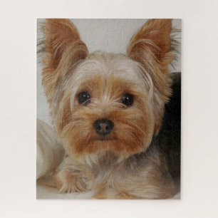 Puzzle Magnifique Yorkshire Terrier