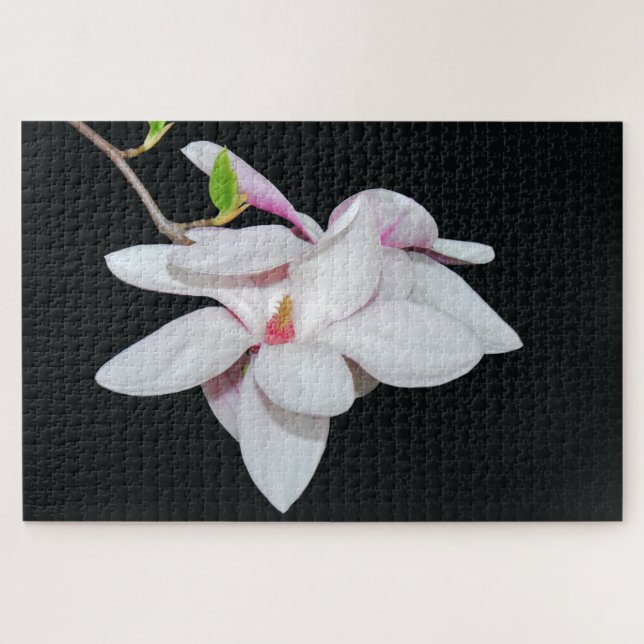 Puzzle Magnolia blanc (Horizontal)