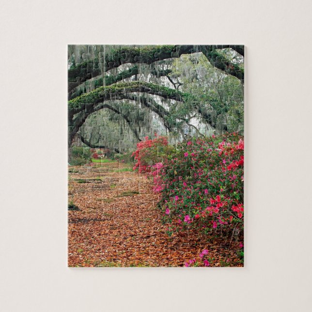 Puzzle Magnolia Charleston de chênes d'azalées d'arbres (Vertical)