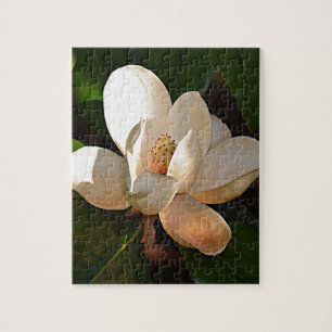 Puzzle Magnolia du Mississippi