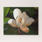 Magnolia du sud de la Louisiane