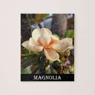 Puzzle Magnolia (Mississippi et Louisiane)