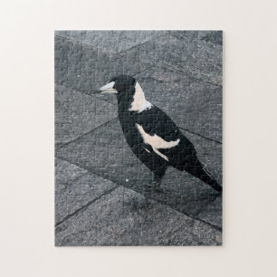 Puzzle magpie