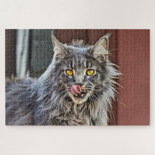 Puzzle Maine Coon Kitty Chat Mignonne animal amusant