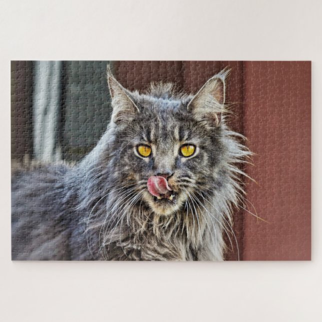 Puzzle Maine Coon Kitty Chat Mignonne animal amusant (Horizontal)