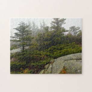 Puzzle Maine Pine Boulders Acadia Photo