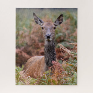 Puzzle Maintenant, vous avez mon attention - 16x20 - 520