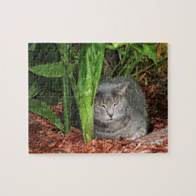 Puzzle Mais je dors mon chat (Horizontal)
