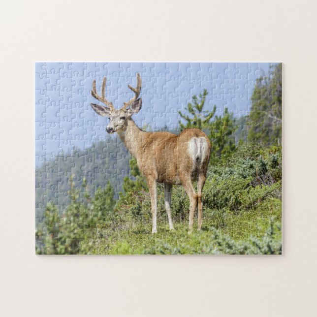 Puzzle Majestic Deer (Horizontal)