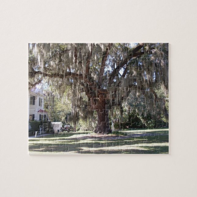 Puzzle majestueux de Live Oak (Horizontal)