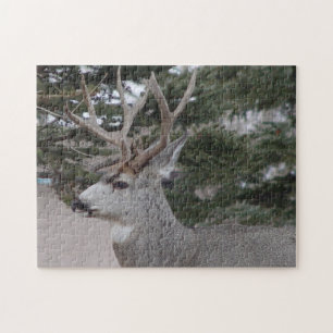 Puzzle Mâle de cerfs communs de mule D25