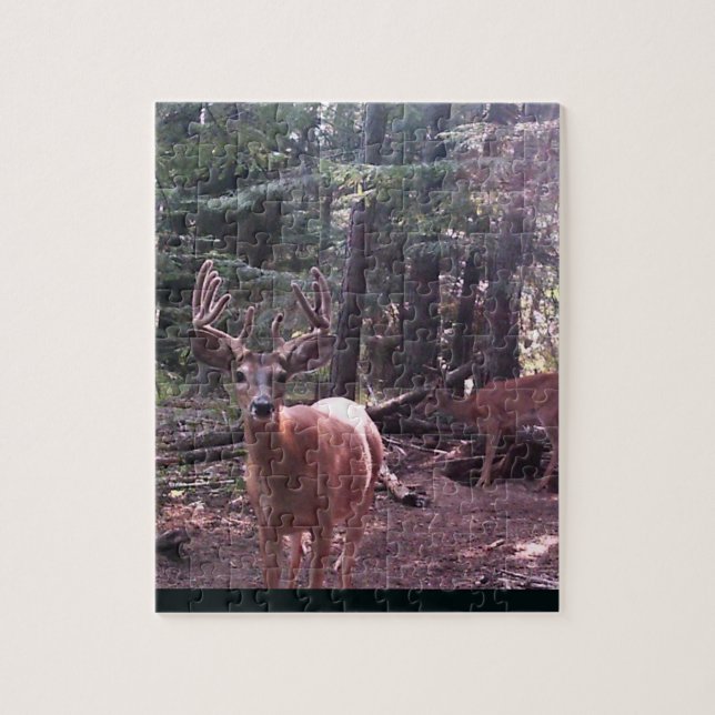 Puzzle Mâle de Whitetail en velours (Vertical)