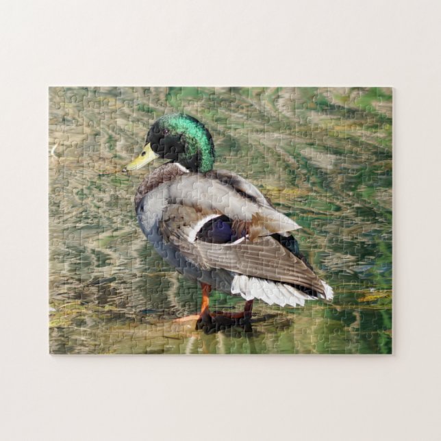 Puzzle Mallard Duck (Horizontal)