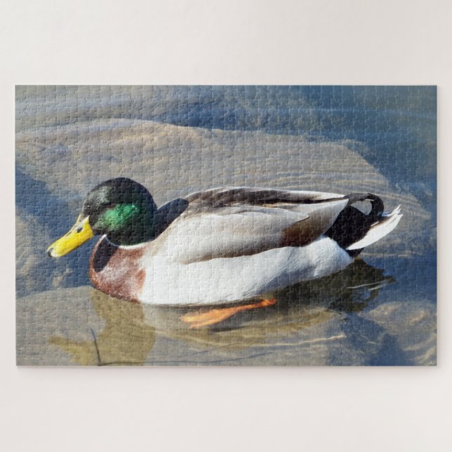 Puzzle Mallard Duck (Horizontal)
