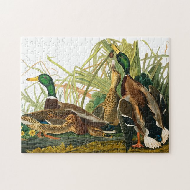 Puzzle Mallard Duck par John James Audubon (Horizontal)