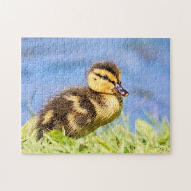 Puzzle Mallard Duckling (Horizontal)