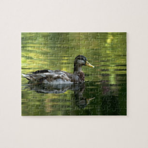 Puzzle Mallard En Miroir Sur Eau Verte