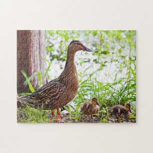 Puzzle Mallard et Ducklings par Shirley Taylor