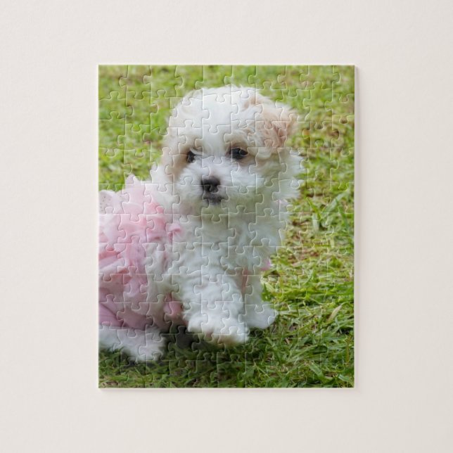 Puzzle maltais mignon de chiot de caniche (Vertical)
