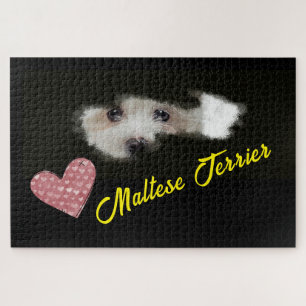 Puzzle Maltese Terrier Eyes Solid Color 1000 piece Jigsaw