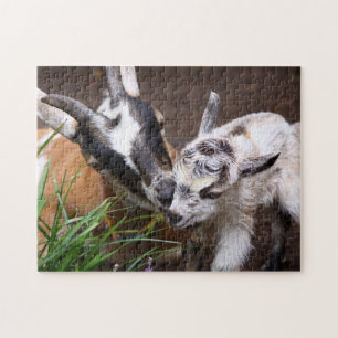 Puzzle Maman et bébé chèvre