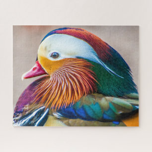Puzzle Mandarin Canard Fermer Portrait